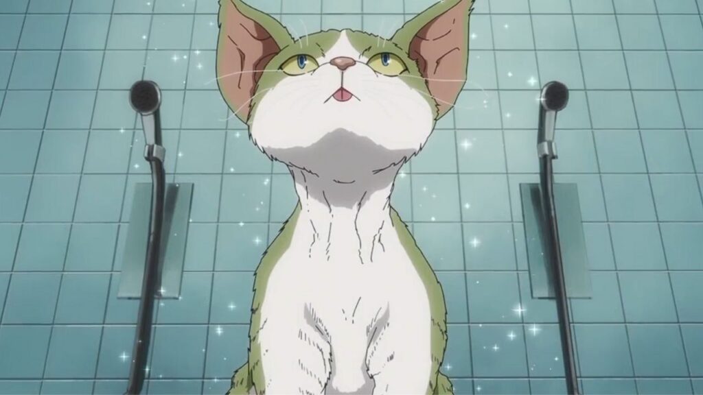 A squaky clean cat Nyaight of the Living Cat episode 10