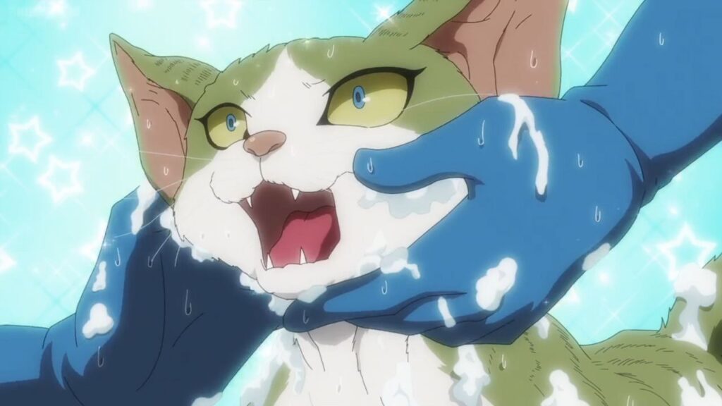 The cat getting bathed Nyaight of the Living Cat episode 10