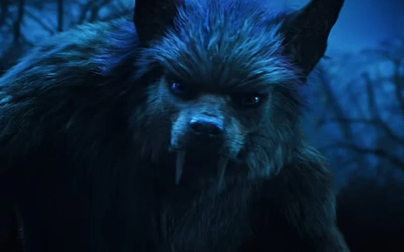 Wednesday Wolves Wednesday Season 2: What Happened to Enid? Possibilities Explored