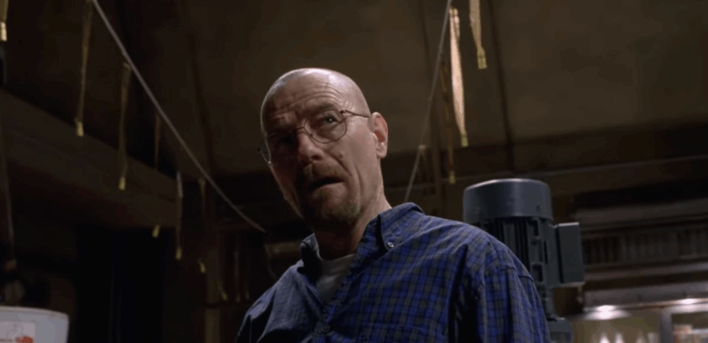 Walter looking frustrated at the fly