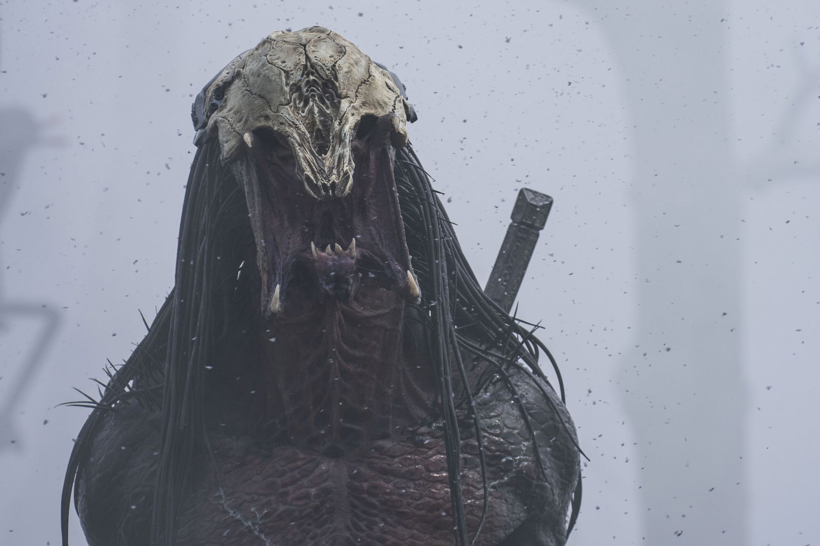 A still from Prey