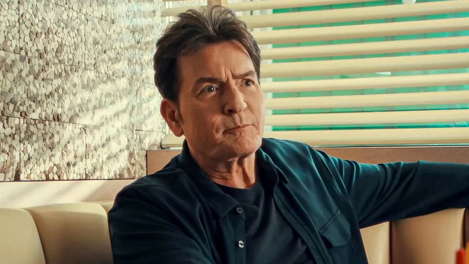 Charlie Sheen in aka Charlie Sheen