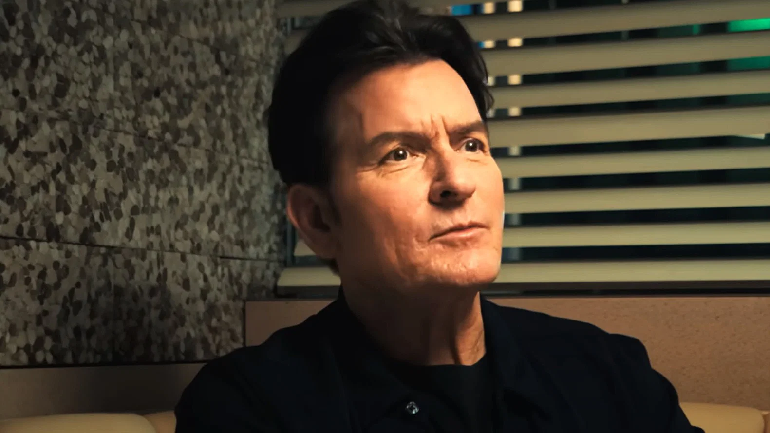 charlie sheen speaking on his netflix documentary