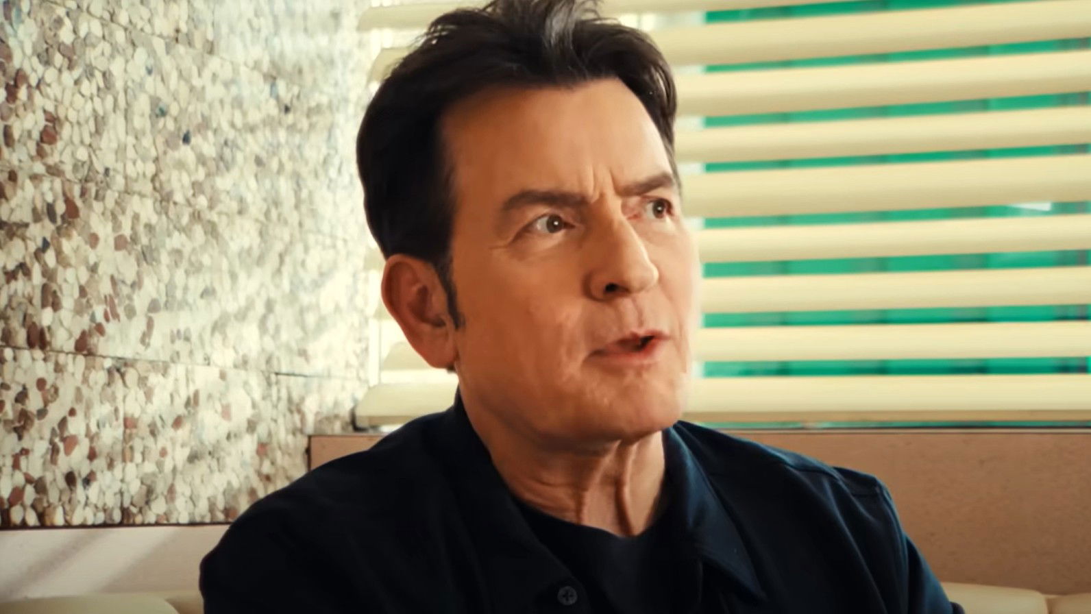charlie sheen speaking on his netflix documentary