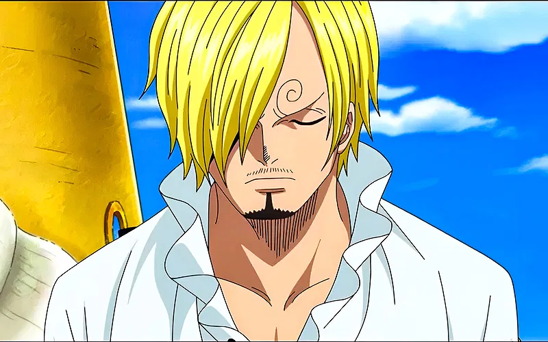 Sanji From The Anime " One Piece"
