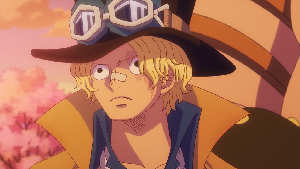 Sabo in One Piece