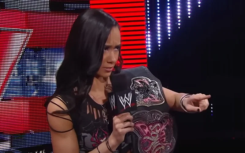AJ Lee firing shots at Nikki Bella and the other members of the show Total Divas (RAW, August 26, 2013)