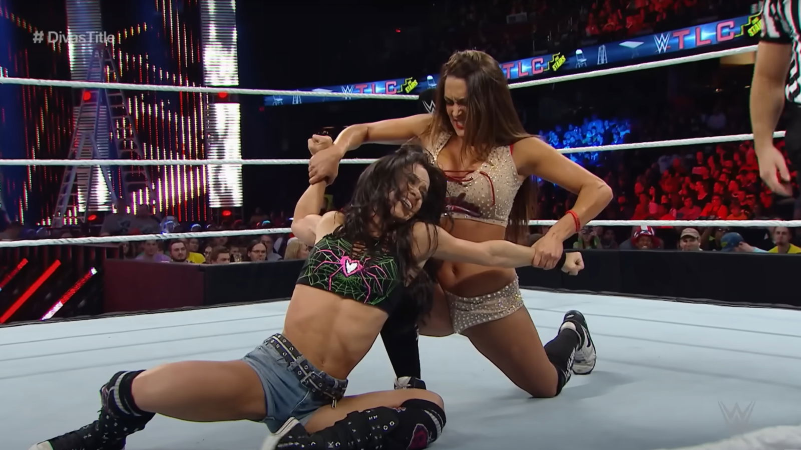 Nikki Bella versus AJ Lee for the Divas Championship at the 2014 WWE TLC 