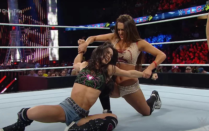 Nikki Bella versus AJ Lee for the Divas Championship at the 2014 WWE TLC