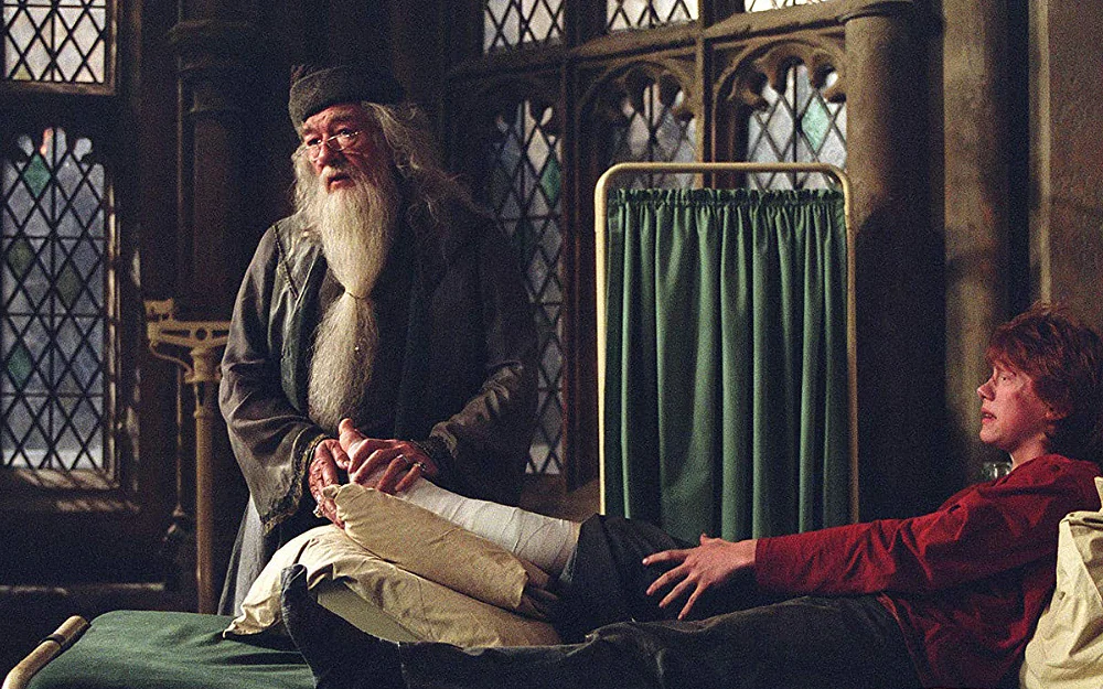 Every Harry Potter Fan Theories About Dumbledore That Are Too Juicy, Ranked