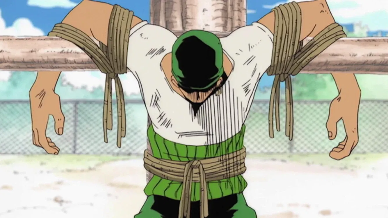 Zoro's introduction
