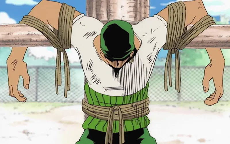 Zoro's introduction