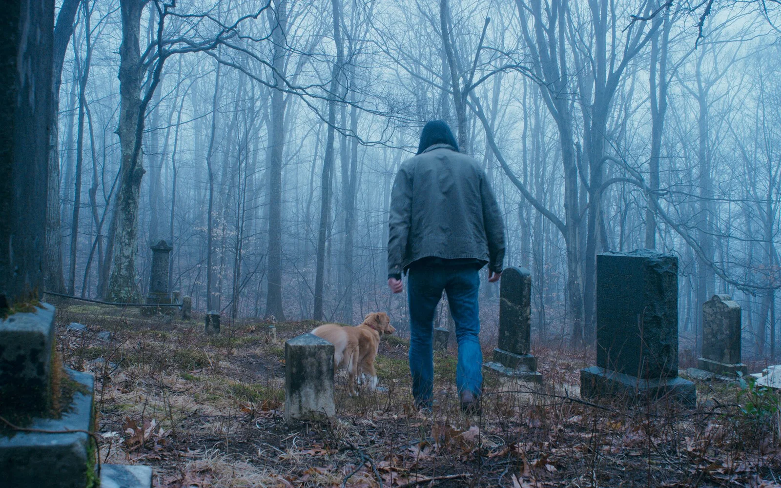 Good Boy Ending Explained: What Happens to Todd in The End?