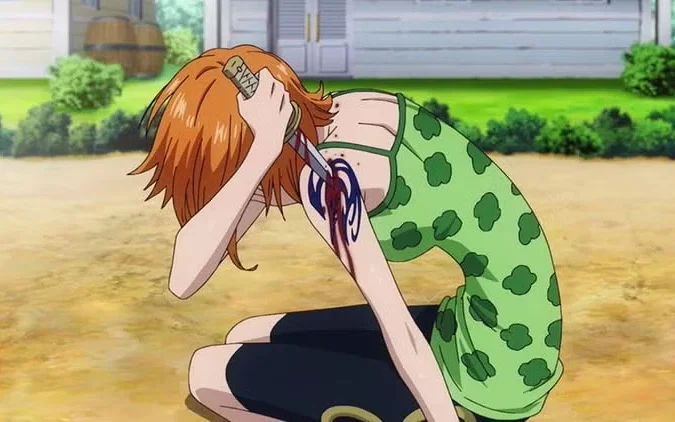 nami from the one piece anime series | Credits: Toei Animation