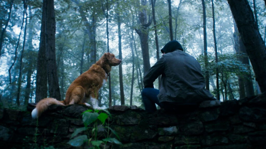 10 Best New Movies Streaming in April: No Other Choice, Marty Supreme, Apex and More 14 Indy in Good Boy