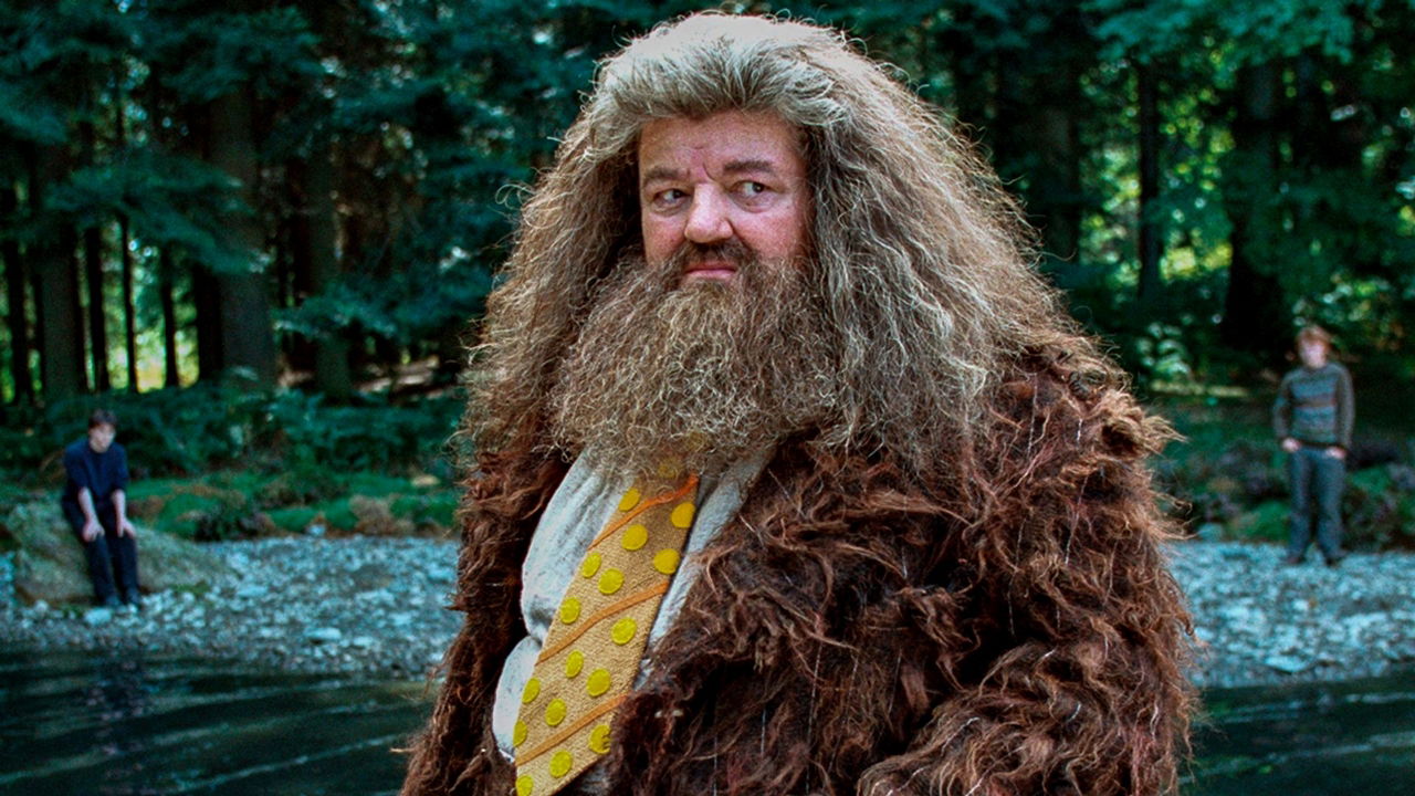A scene from Harry Potter featuring Hagrid in a forest setting. 