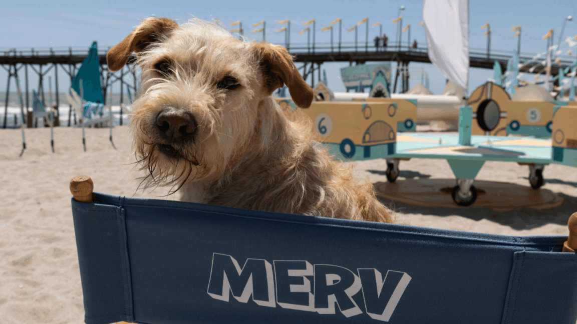Merv Rees Merv Ending Explained: Why Russ’s Mother MJ Becomes the Turning Point ...