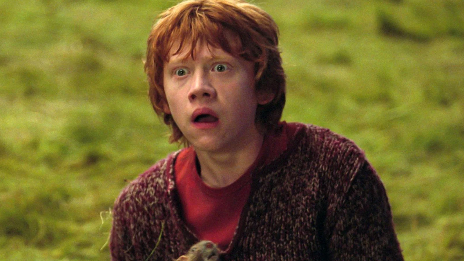 Ron Character Why Ron Weasley Is the Most Realistic Character in Harry Potter