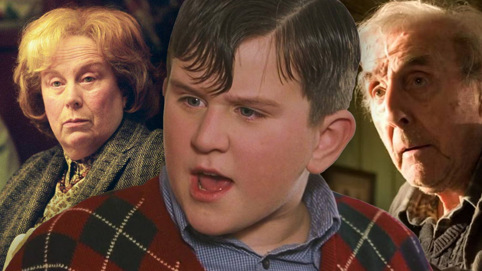 Muggl Every Muggle Character In Harry Potter Ranked Least to Most Plot-Worthy