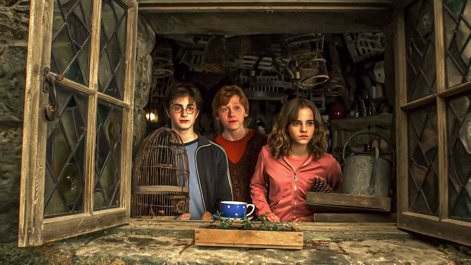 Visual Style Interview Every Harry Potter Director, Ranked by Visual Style & Franchise Impact