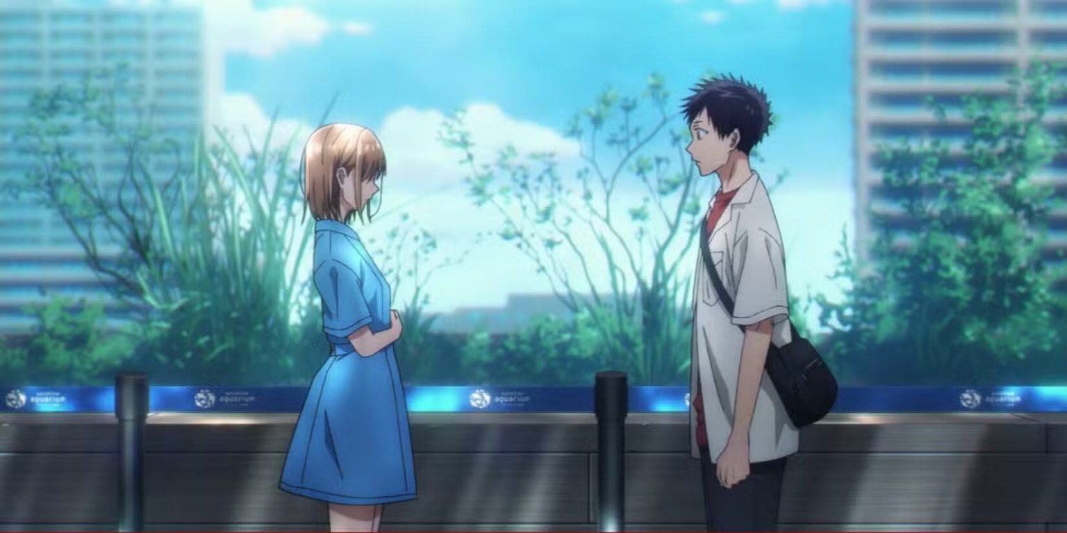 Anime Fact Check Is Blue Box Ending Soon?