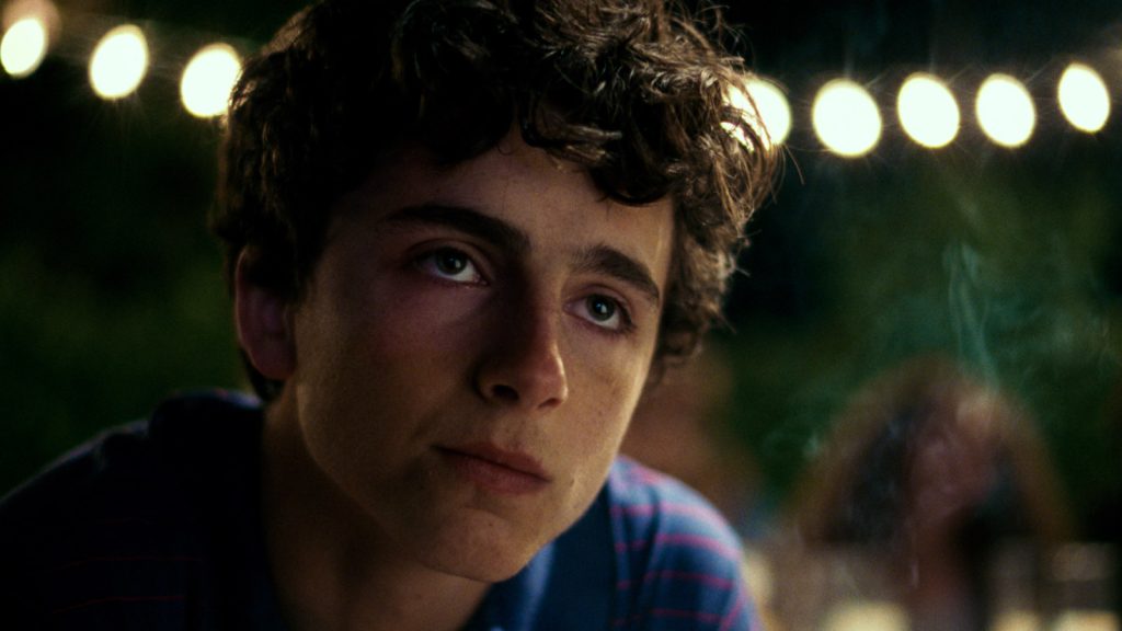 timothée chalamet call me by your name