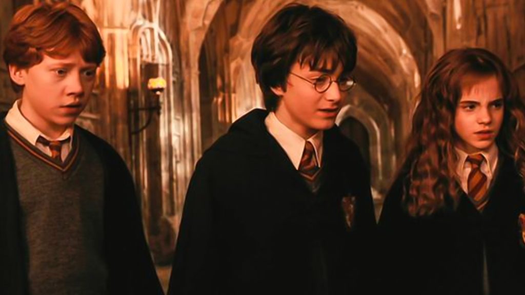 The main trio from Harry Potter 