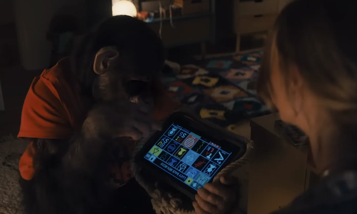Primate (2025): Release Date, Cast, Plot, and Everything We Know