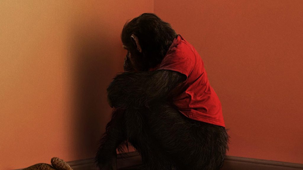 Primate is now available on Blu-ray