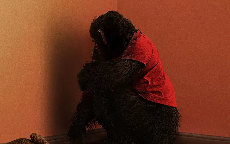 Primate Ending Explained: What Happens to Ben After Stephen King Inspired the Ending?