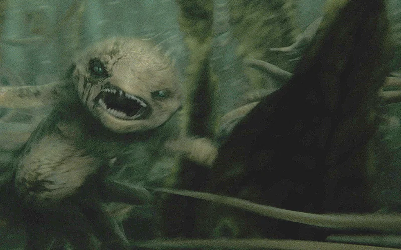 HBO's Harry Potter Studied Real Animal Movement to Perfect Its Animatronic Creatures 2