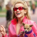 elle the legally blonde