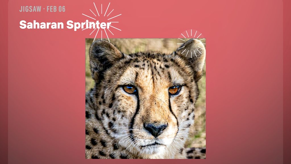 Netflix Puzzled Daily Games Solutions for Today (February 6, 2026) 2