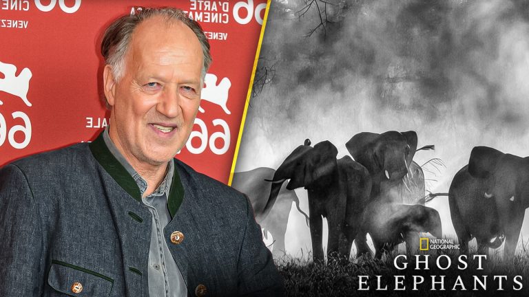INTERVIEW - WERNER HERZOG - GHOST ELEPHANTS -- Left Image Credit: Nicogenin, CC BY-SA 2.0 Via Wikimedia Commons