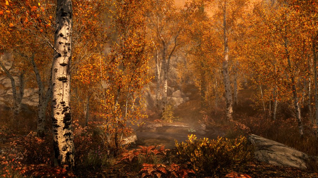 Environment in The Elder Scrolls V: Skyrim.
