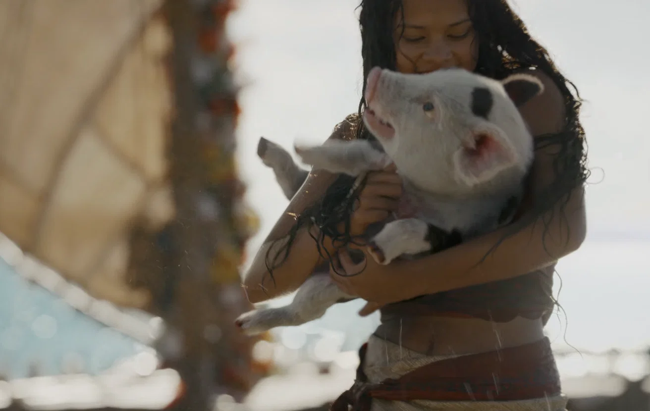 Pua Rota Moana Remake: Every Animated Character and Their Live-Action Counterpart