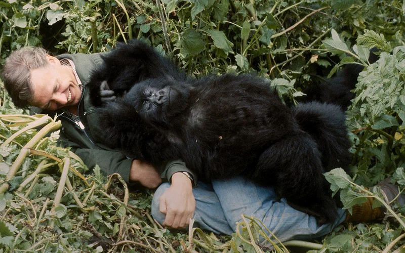 Gorgeous Nature Documentary Lives and Dies on Vibes 8 Told by David Attenborough