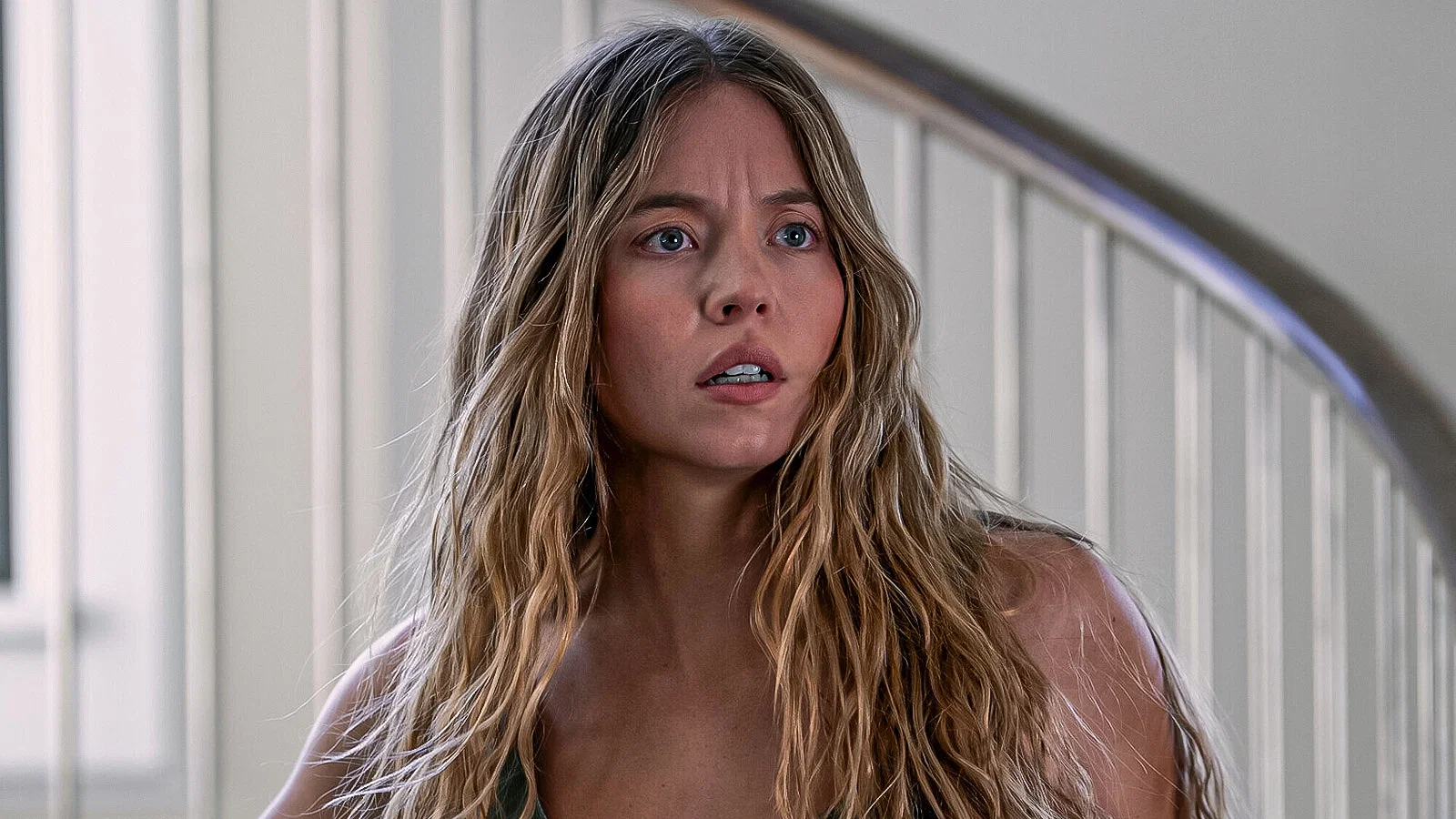 All We Know About Freida McFadden 8 sydney sweeney in the housemaid