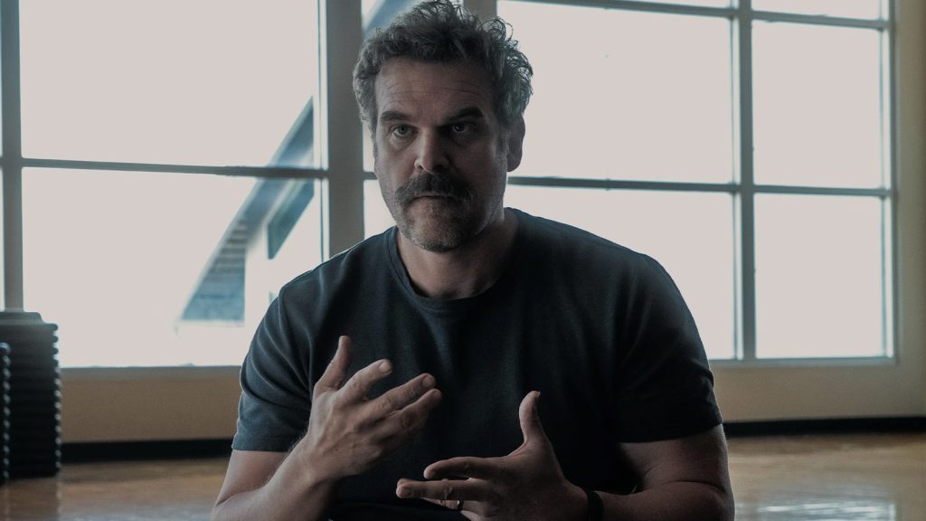 David Harbour in Dtf St. Louis Season 1