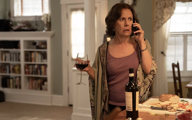 Dan Levy and Taylor Ortega Shine in Crime-Driven Comedy 21 Laurie Metcalf as Linda in BIG MISTAKES.