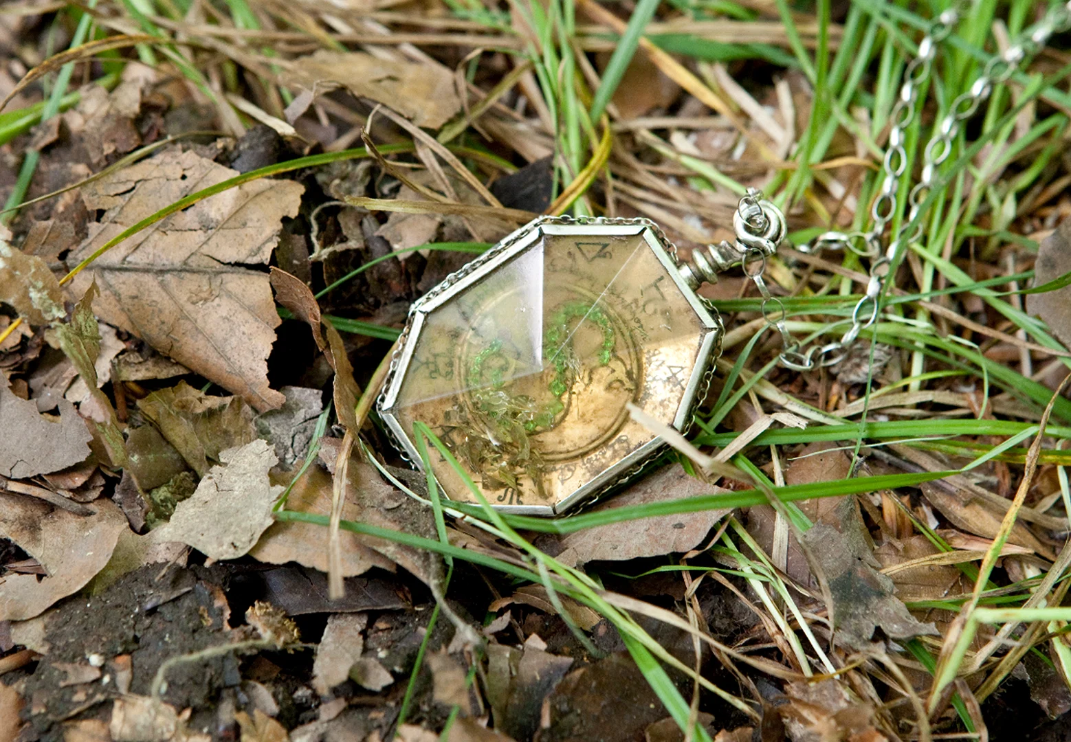 Every Hogwarts Founder Heirloom in Harry Potter, Ranked 10 Slytherin's Locket in grass in a close-up scene from Harry Potter