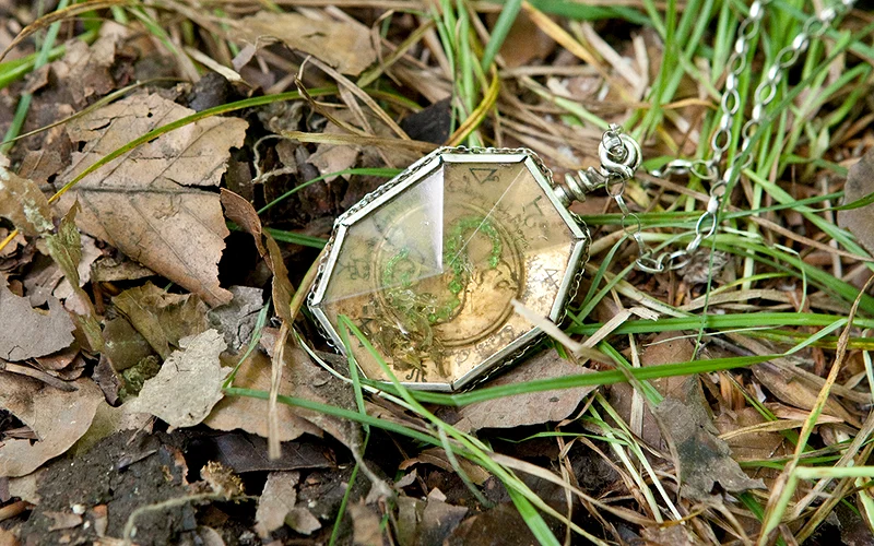 Every Hogwarts Founder Heirloom in Harry Potter, Ranked 4 Slytherin's Locket in grass in a close-up scene from Harry Potter