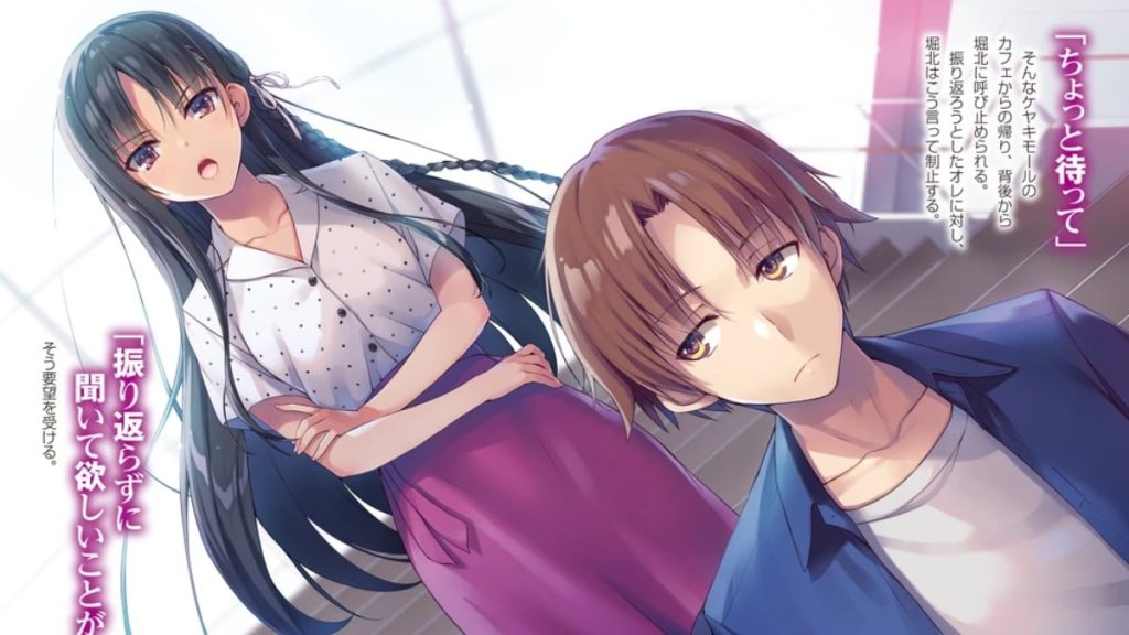 classroom of the elite light novel volume cover featuring horikita and ayanokoji