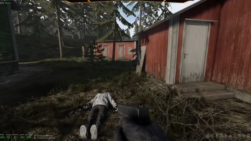 In-game image from Road to Vostok 