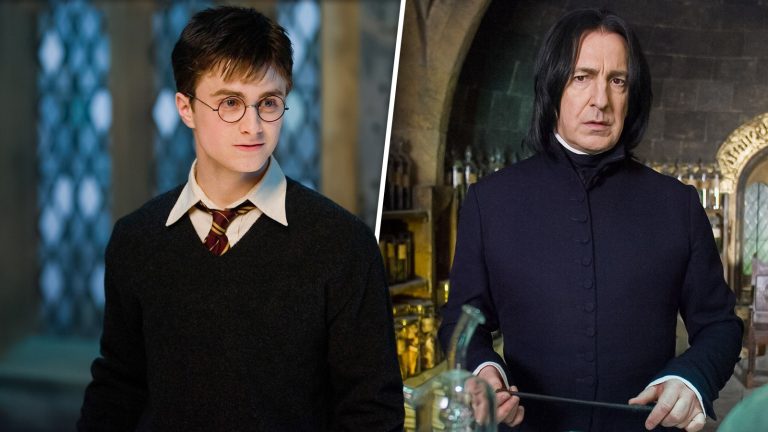 harry potter and slytherin teacher snape