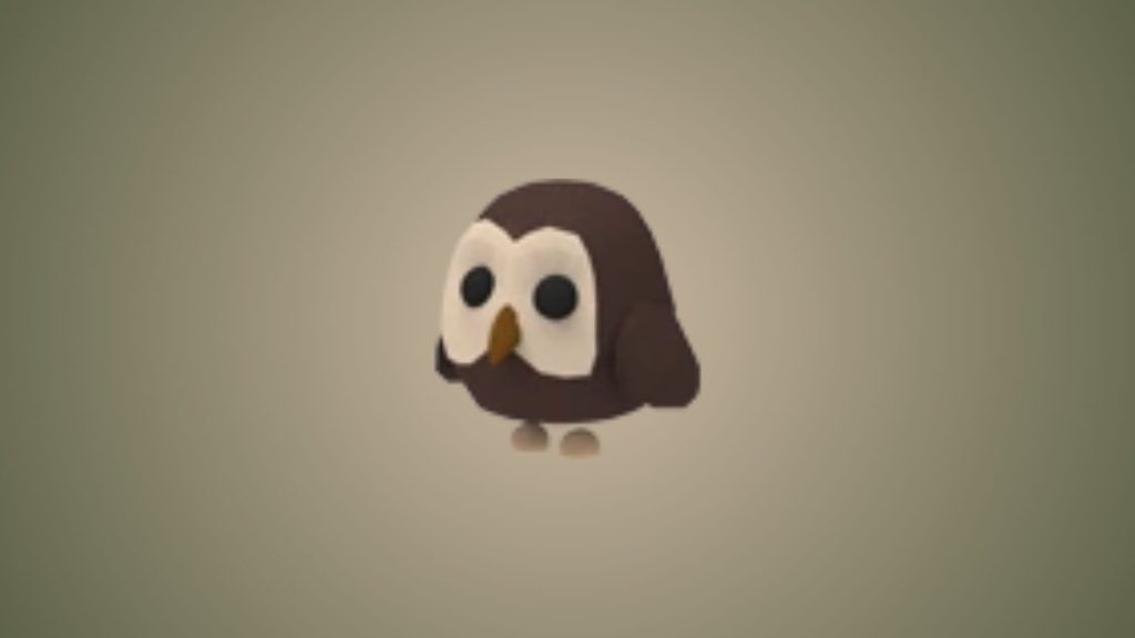 Owl in Adopt Me