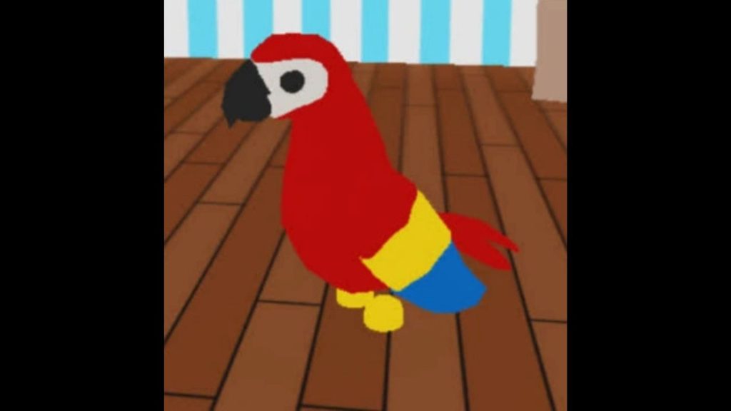 Parrot in Adopt Me