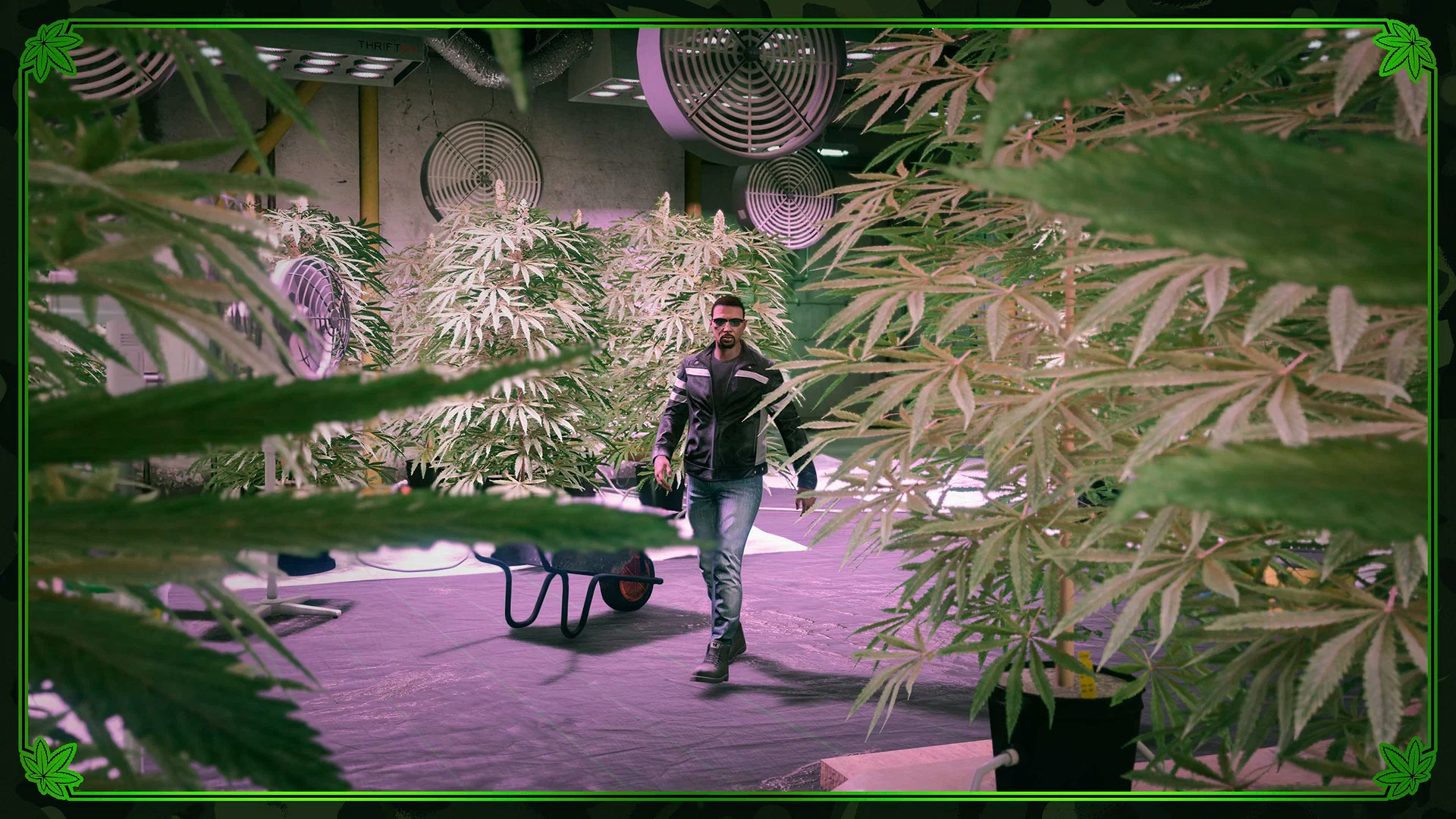 All Weekly Bonuses, Free Gifts & Discounts 13 Weed Sell Missions in GTA Online.