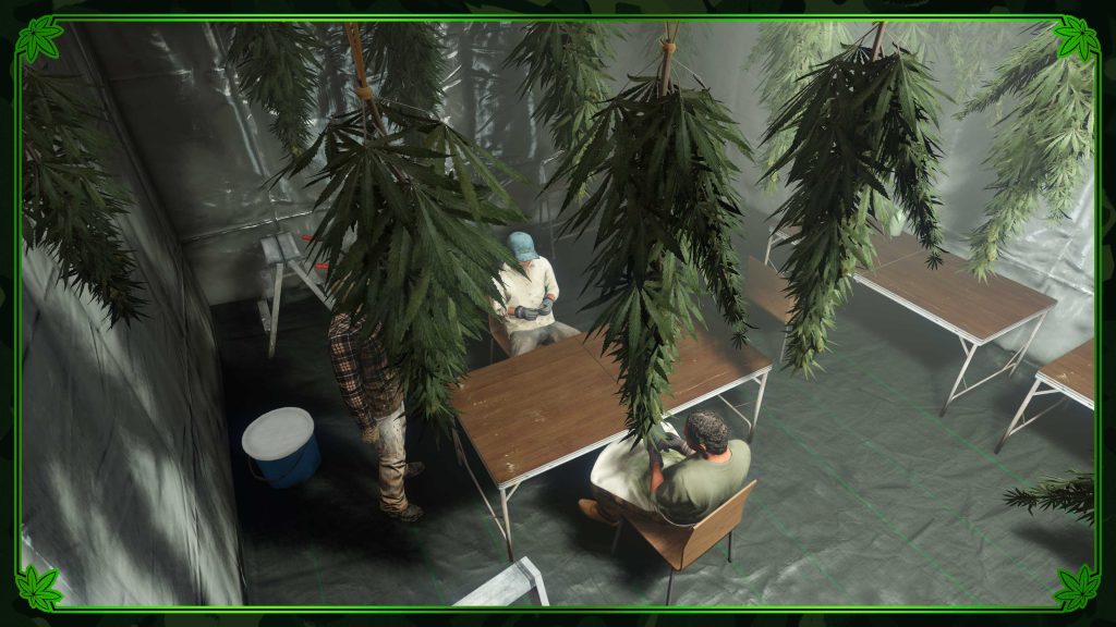 Weed Farm in GTA Online.