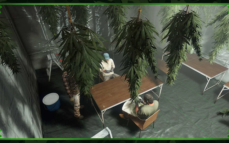 All Weekly Bonuses, Free Gifts & Discounts 4 Weed Farm in GTA Online.